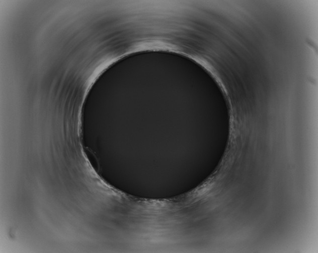 X0000099950815200806061541