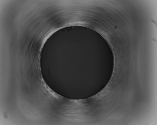 X0000099950816200806061541