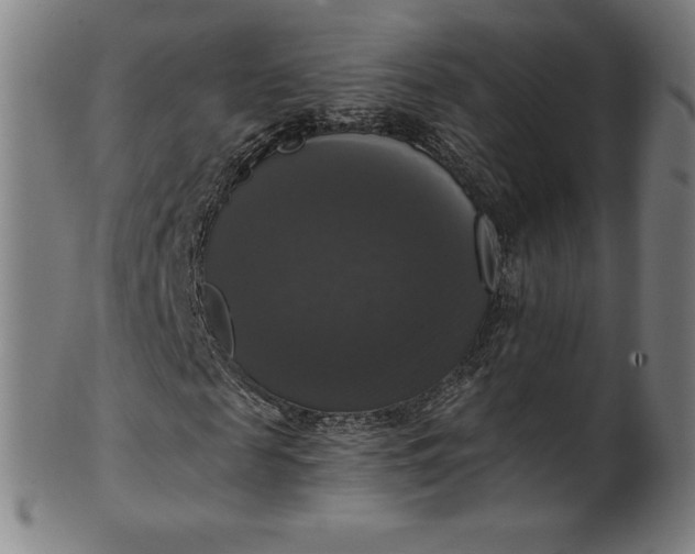 X0000099950817200806061540