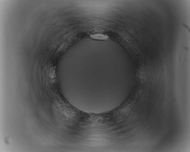 X0000099950818200806061540