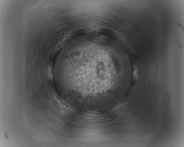 X0000099950819200806061540