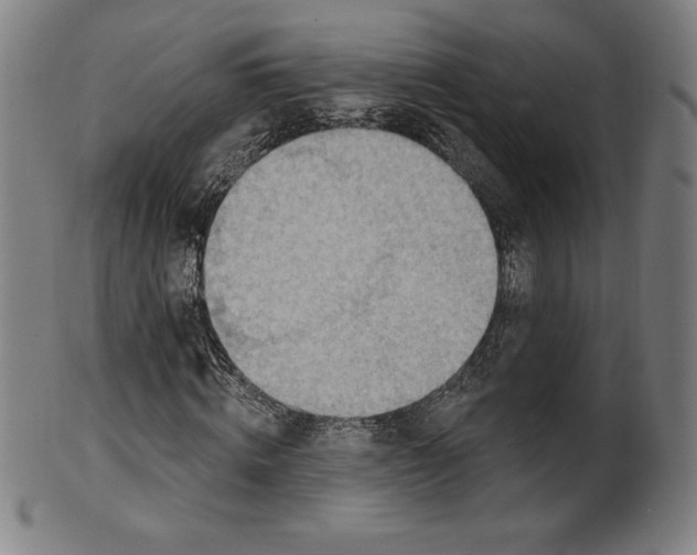 X0000099950820200806061540