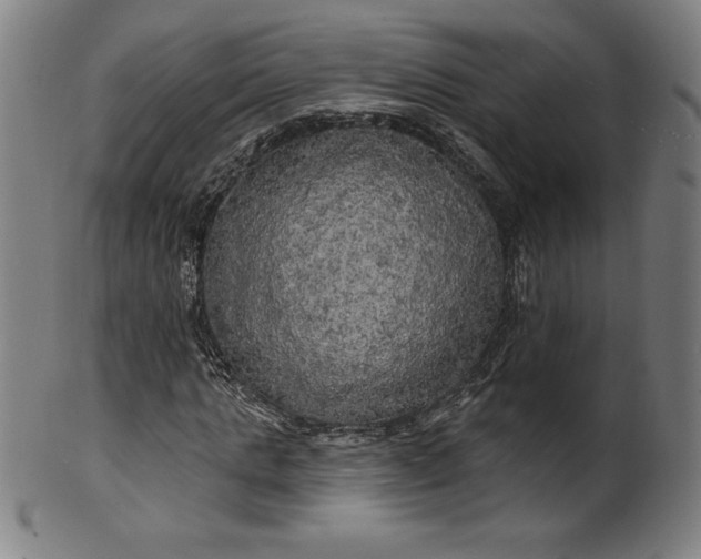 X0000099950821200806061540