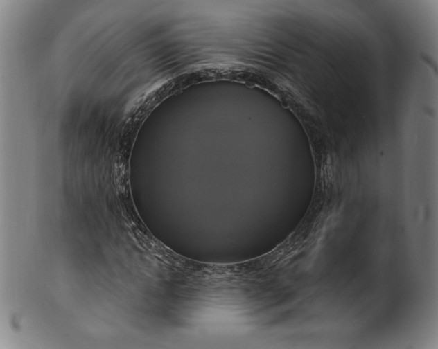 X0000099950822200806061540