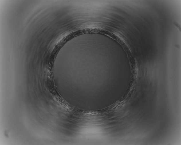 X0000099950823200806061540