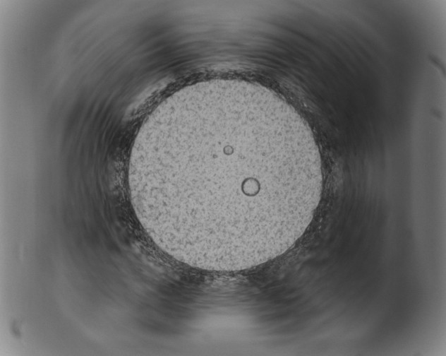 X0000099950824200806061540