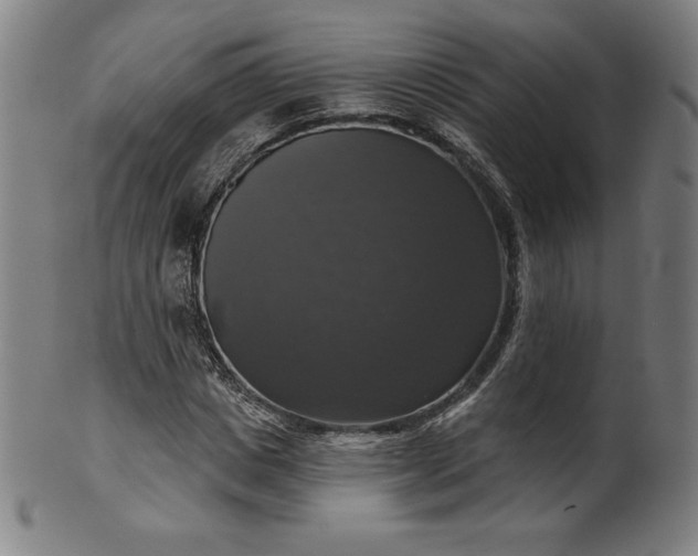 X0000099950825200806061540