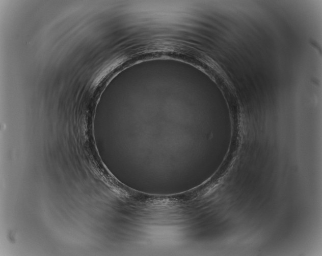 X0000099950826200806061540