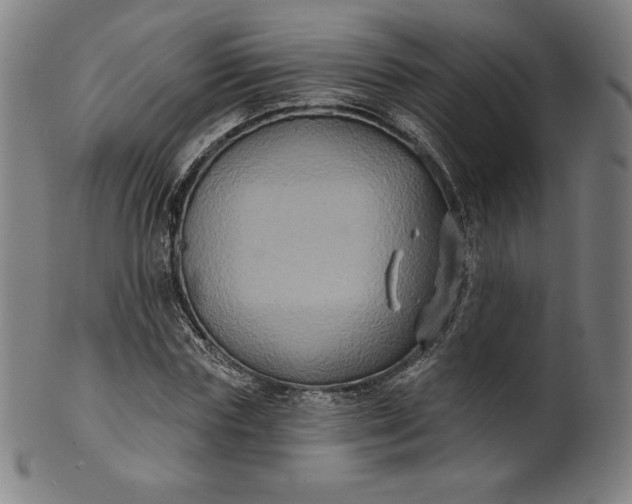 X0000099950827200806061540