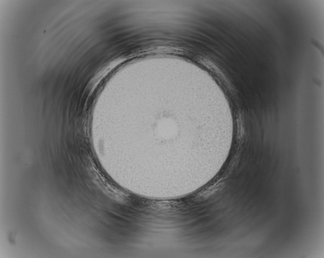 X0000099950828200806061540