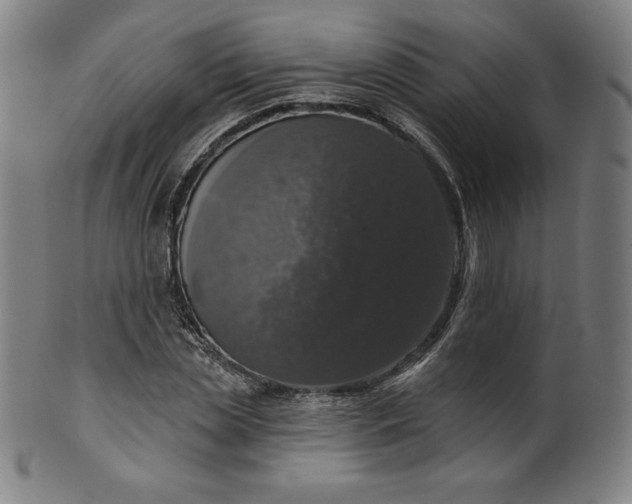 X0000099950829200806061540