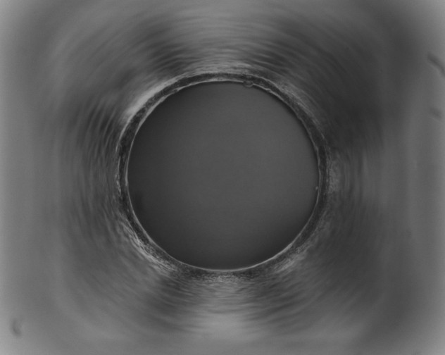 X0000099950830200806061540