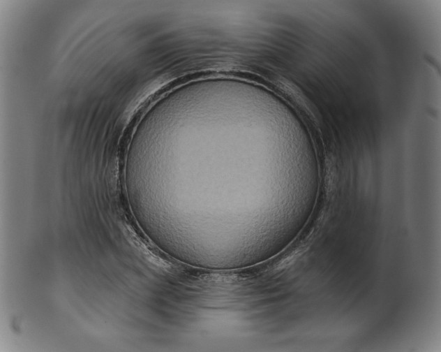 X0000099950831200806061540