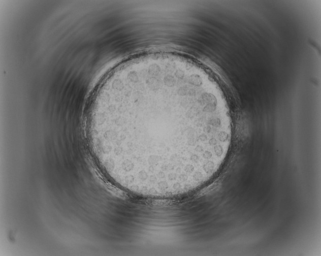 X0000099950832200806061540