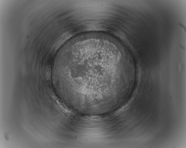 X0000099950833200806061540