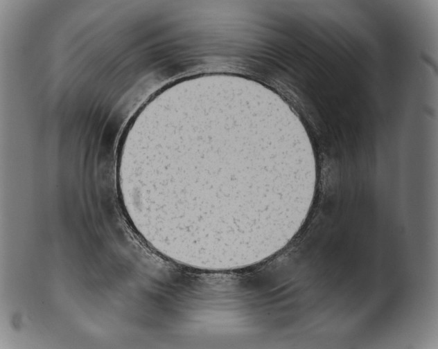 X0000099950836200806061540