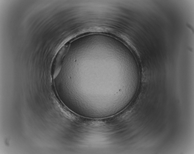 X0000099950837200806061540