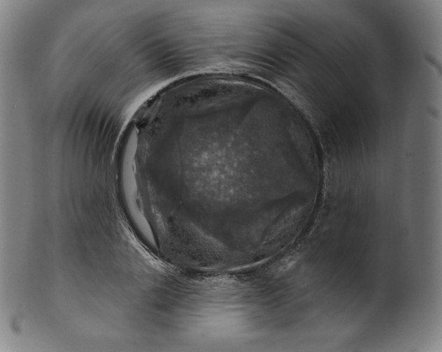 X0000099950838200806061540