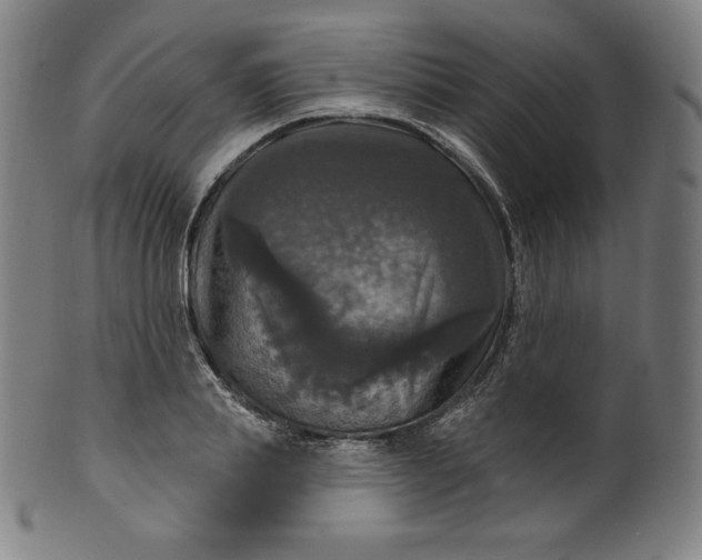 X0000099950839200806061540