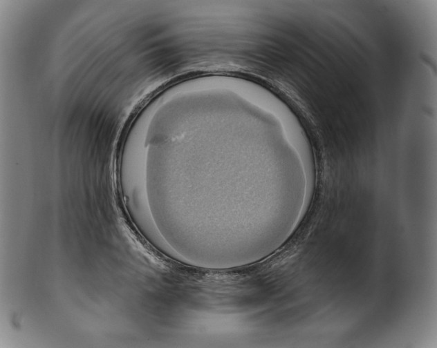 X0000099950840200806061540