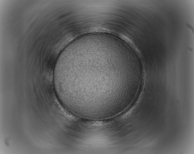 X0000099950841200806061540