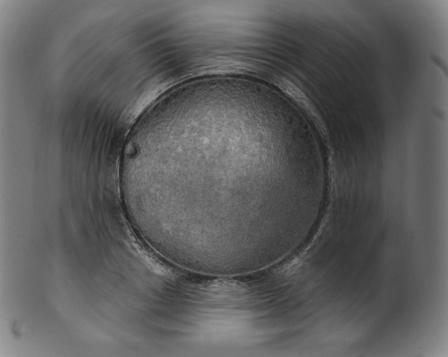 X0000099950842200806061540