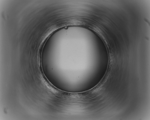 X0000099950843200806061540