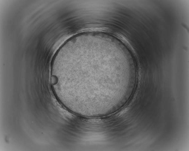 X0000099950844200806061540