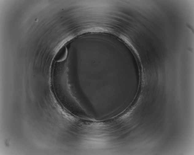 X0000099950845200806061540