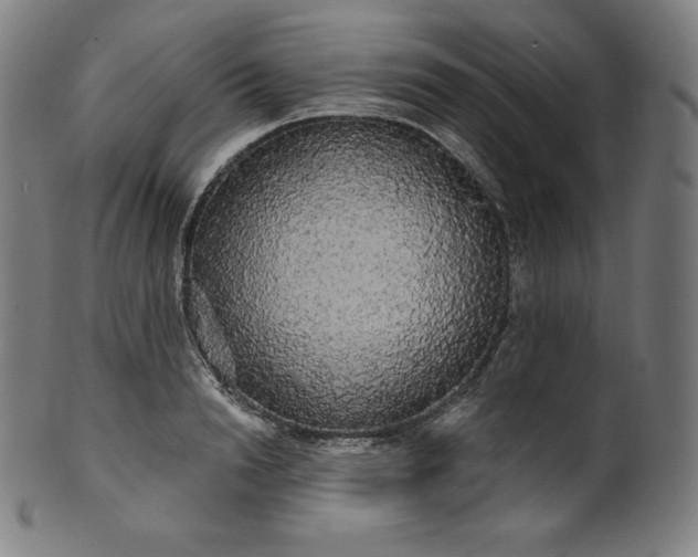 X0000099950846200806061540