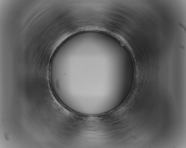 X0000099950847200806061540