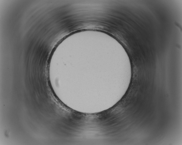 X0000099950848200806061540