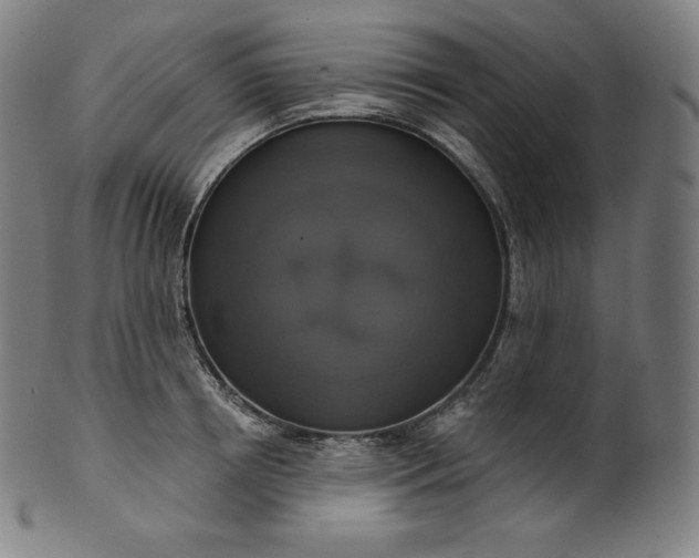 X0000099950850200806061540