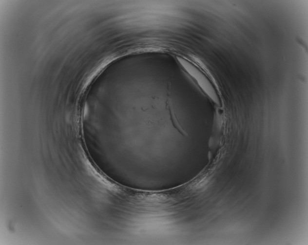 X0000099950851200806061540