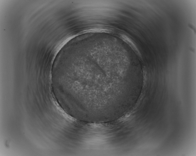 X0000099950852200806061540