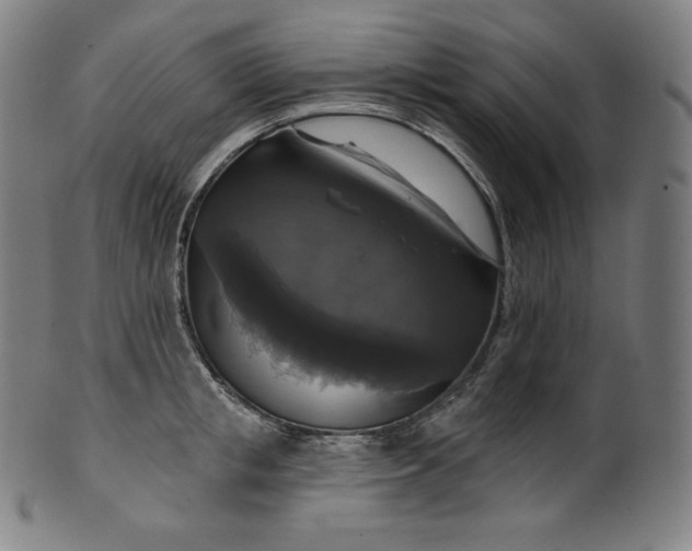 X0000099950853200806061540