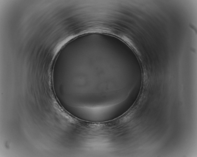 X0000099950854200806061540