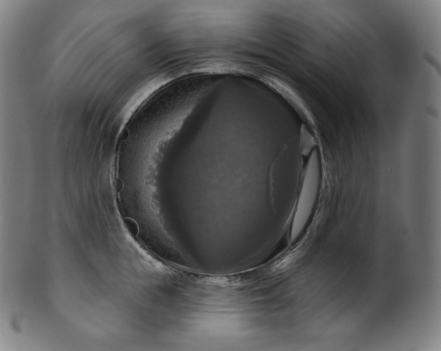 X0000099950855200806061540