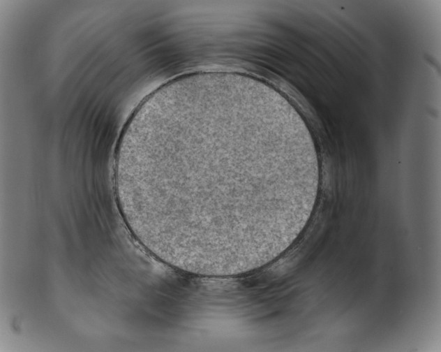 X0000099950856200806061540