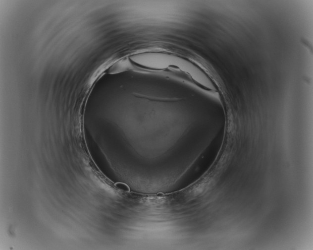 X0000099950858200806061540