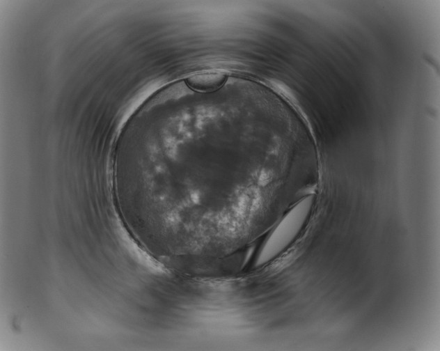 X0000099950859200806061540