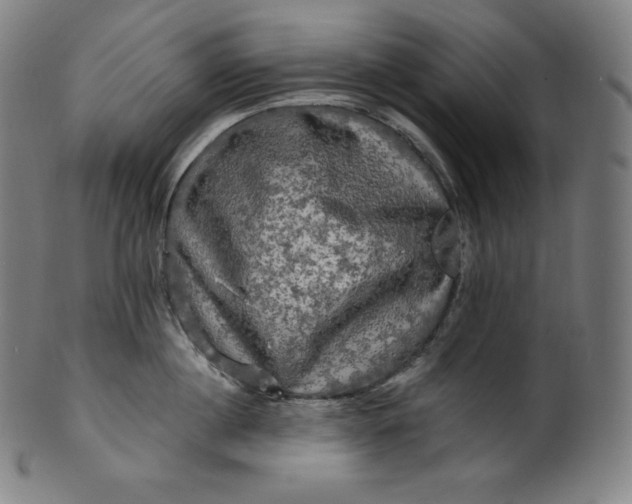 X0000099950860200806061540