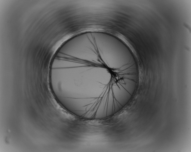 X0000099950861200806061540