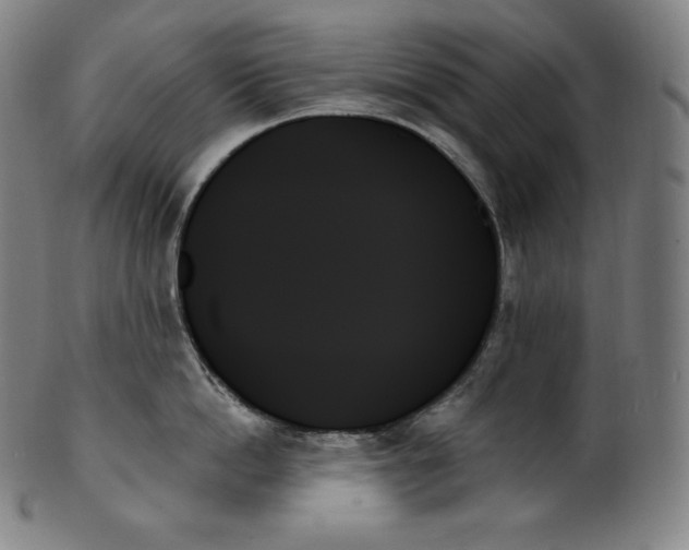 X0000099950862200806061540