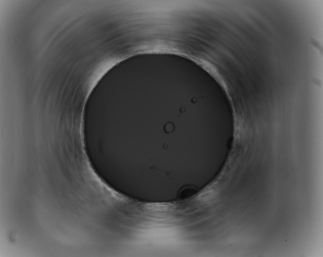 X0000099950863200806061541