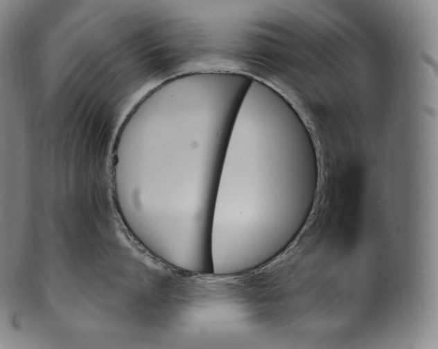 X0000099950864200806061541