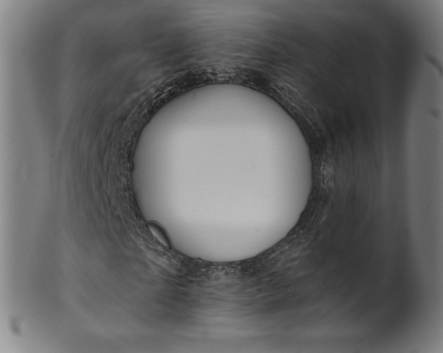 X0000099950865200806061540