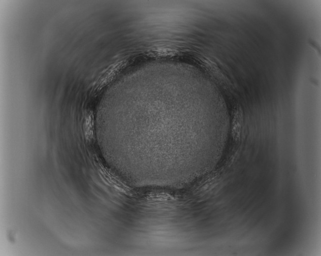 X0000099950866200806061540