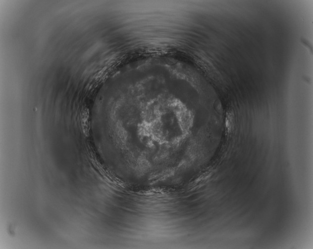 X0000099950867200806061540