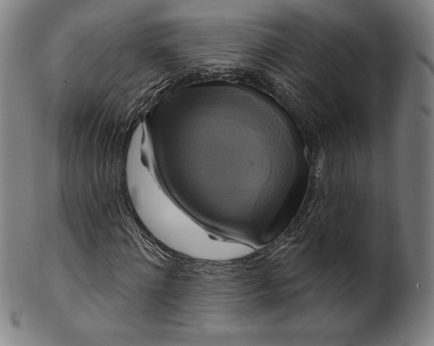 X0000099950868200806061540